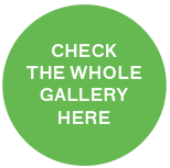 "ROLLOVER FB GALLERY"