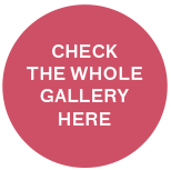 "ROLLOVER FB GALLERY"